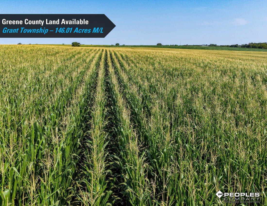 Listing Photo: Greene-County-Iowa-Farmland-Available-146-Acres-19686-Jefferson (8)